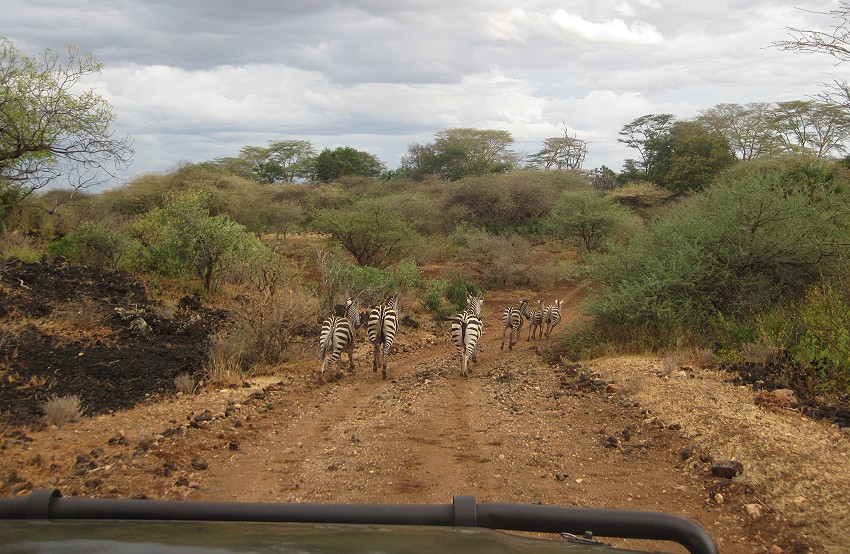 Tsavo West National Park - Kenya