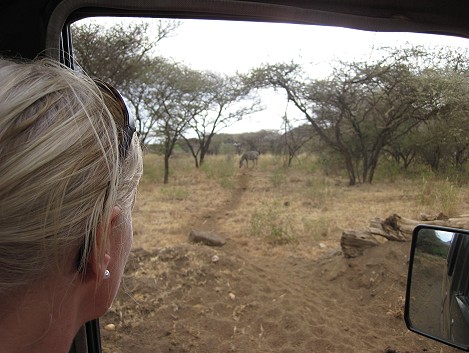 Tsavo West National Park - Kenya