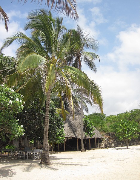 Vipingo Beach - Nordküste