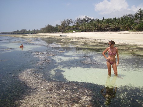 Vipingo Beach - Nordküste