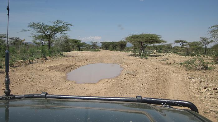 Buffalo Springs