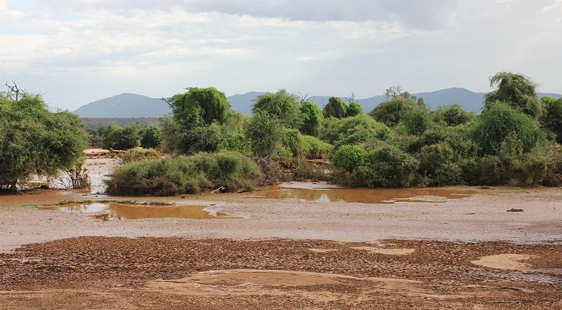 Ewaso River nach der Flut am 20.10.17