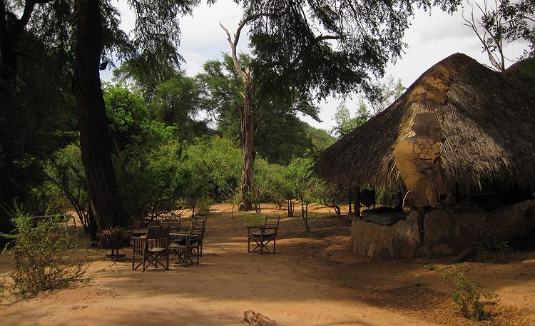 Lion King Camp