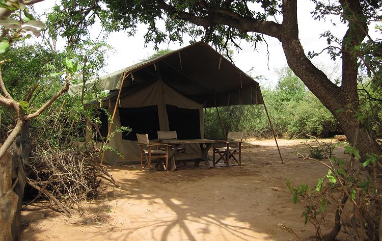 Lion King Camp