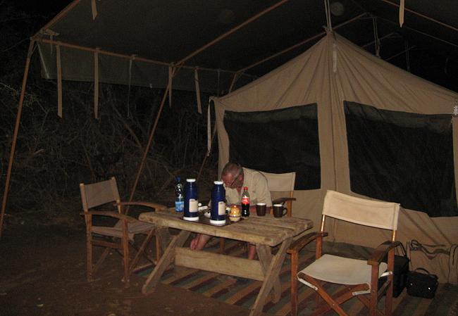 Lion King Camp