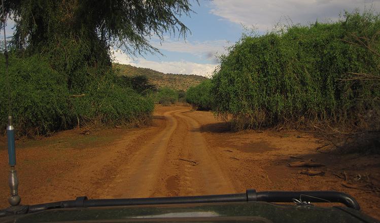 Samburu Reservat nach der Flut