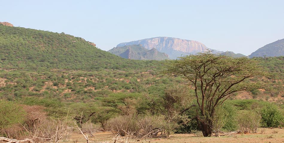 Samburu Reservat