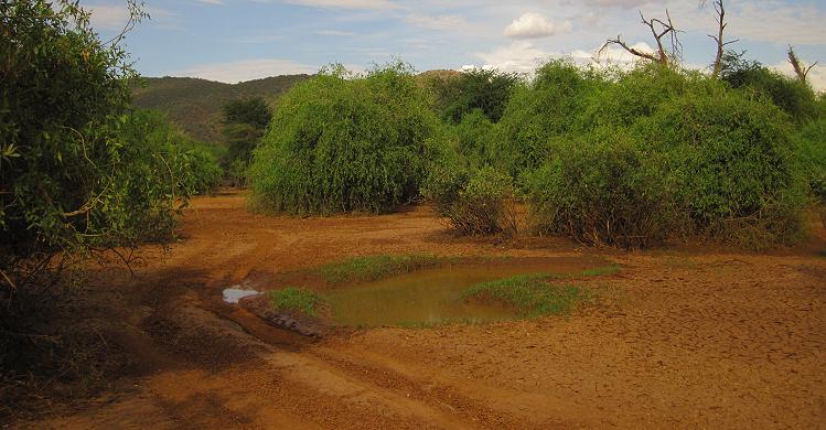 Samburu Reservat nach der Flut