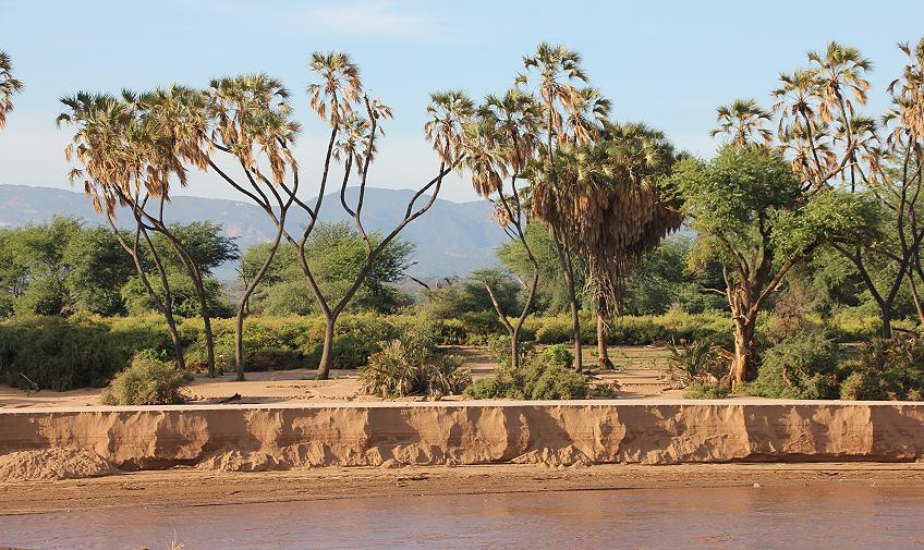 Ewaso Ngiro River