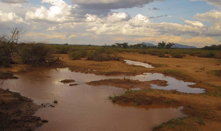 Samburu Reservat nach der Flut