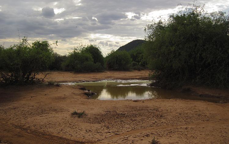 Samburu Reservat nach der Flut