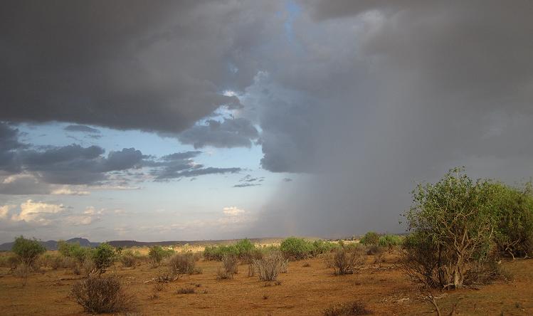Samburu