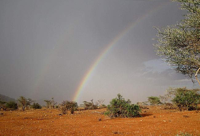 Samburu