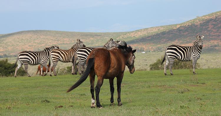 Sandai Farm