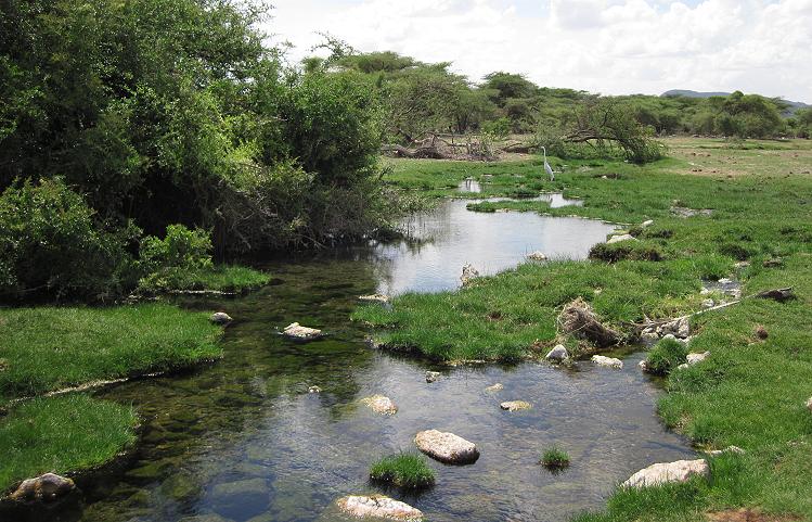 Bufallo Springs
