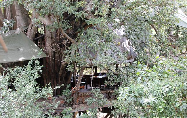 Trout Tree Restaurant
