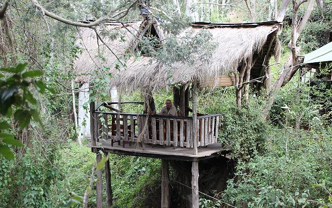 Trout Tree Restaurant
