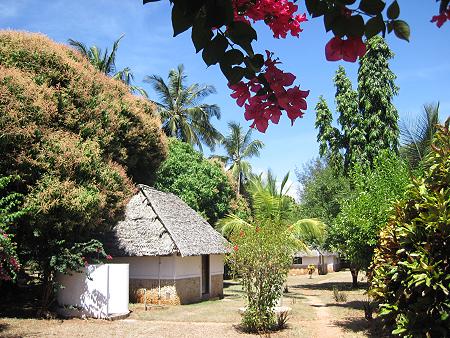 Amani House Msambweni Beach