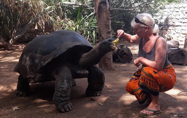 Wildlife and fun in Boko Boko