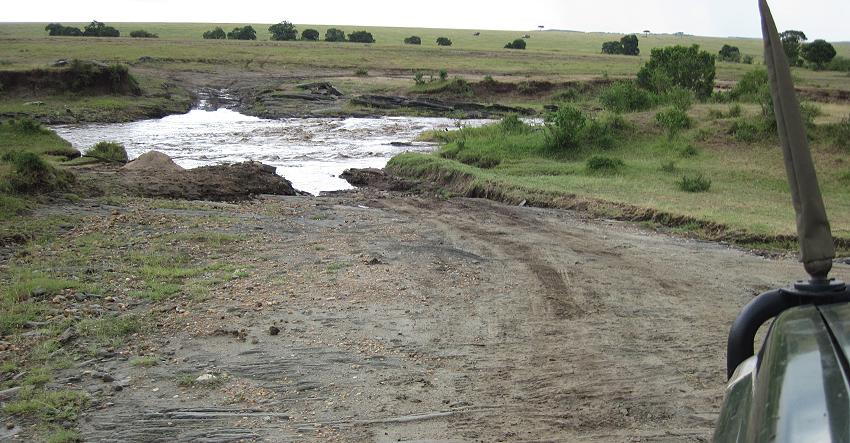 Double Crossing - Masai Mara