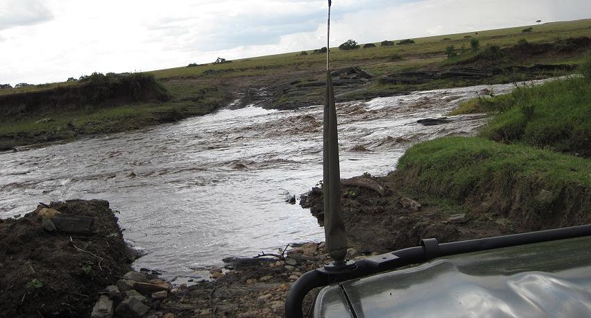 Double Crossing - Masai Mara