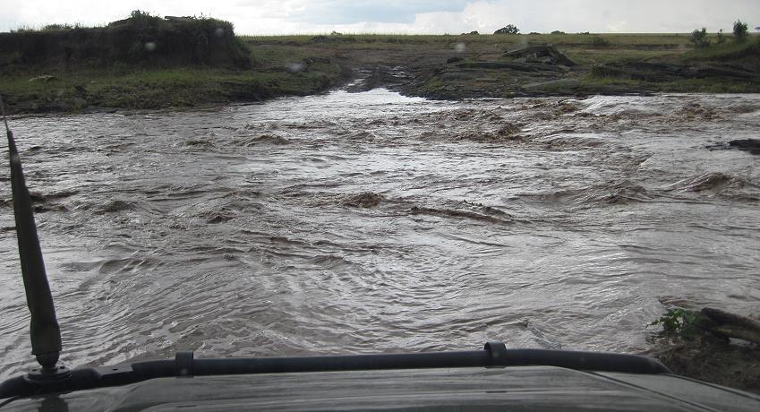 Double Crossing - Masai Mara