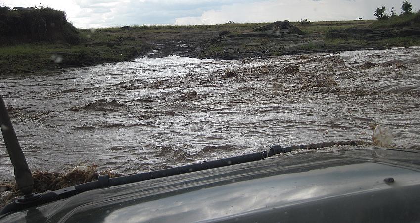 Double Crossing - Masai Mara