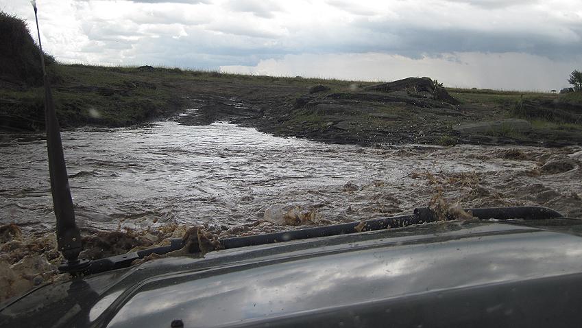 Double Crossing - Masai Mara