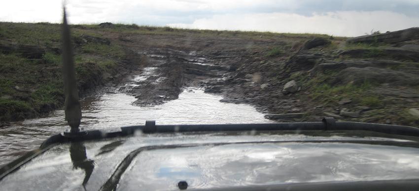 Double Crossing - Masai Mara