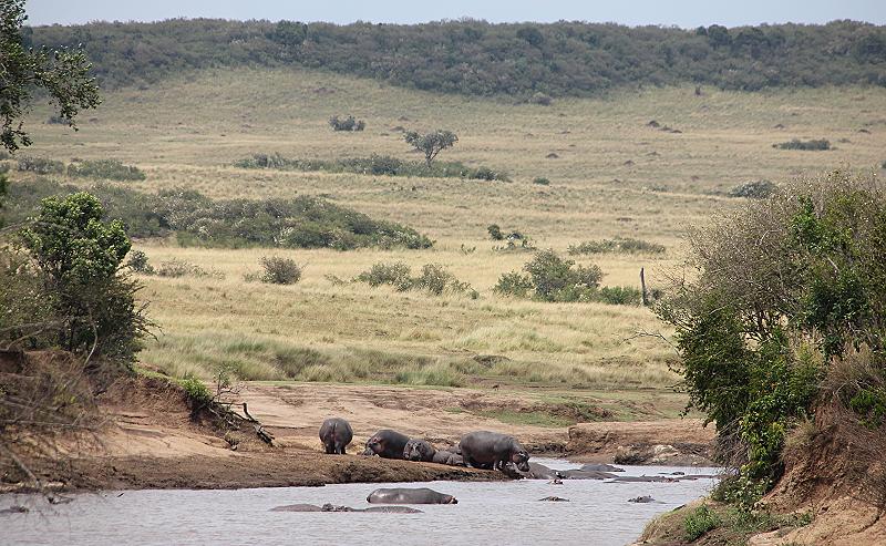 Mara Eden Safari Camp, Mara River