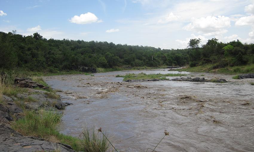 Mara Eden Safari Camp - Mara River