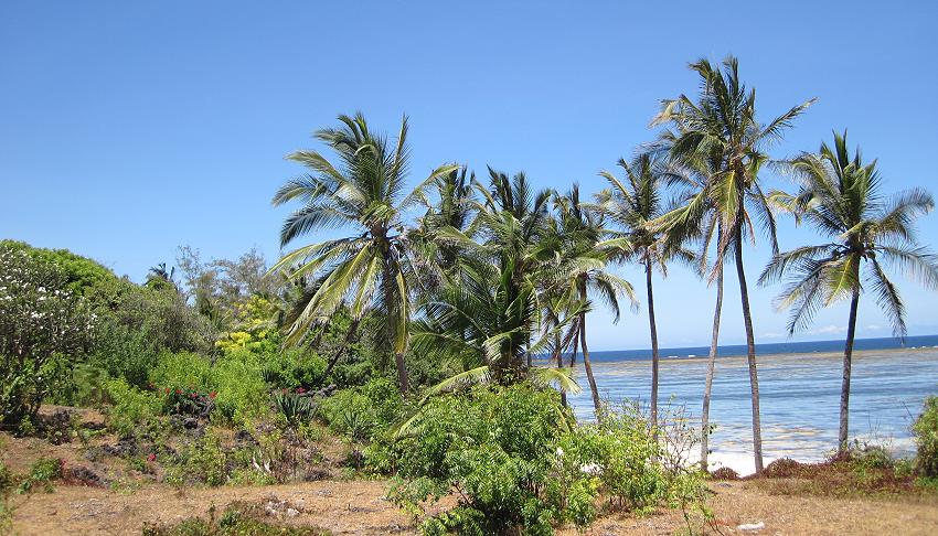 Vipingo Beach - Kuruwitu Marine Sanctuary