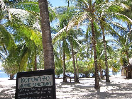 Vipingo Beach - Kuruwitu Marine Sanctuary