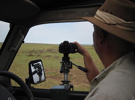Löwen, Masai Mara