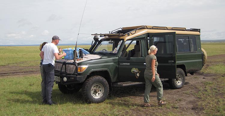 zwischen Löwen, Masai Mara