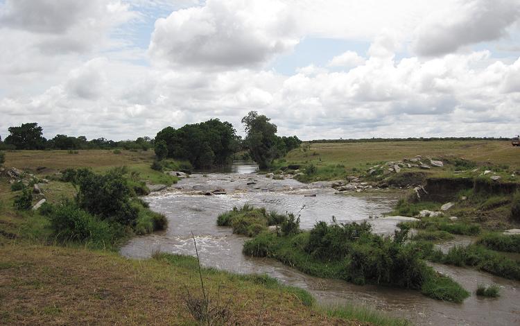 zwischen Löwen, Masai Mara