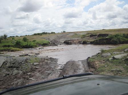 zwischen Löwen, Masai Mara