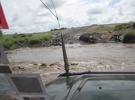 zwischen Löwen, Masai Mara