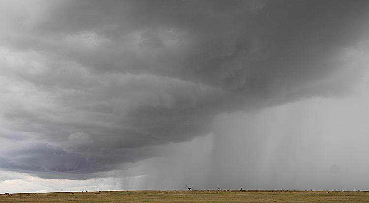 Regen in der Masai Mara