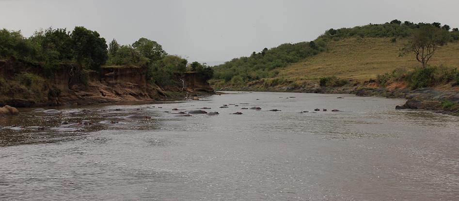 am Mara River