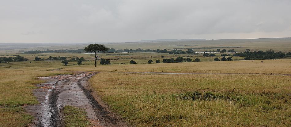 matschige Mara