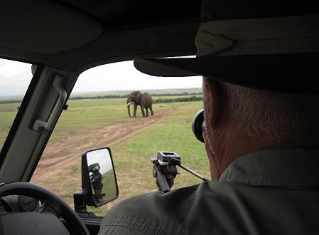 Topi Plains