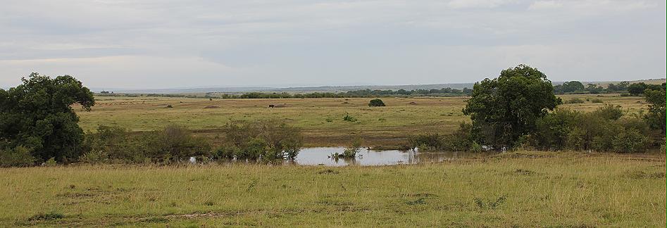 Topi Plains