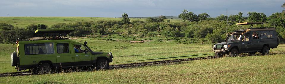 masai mara