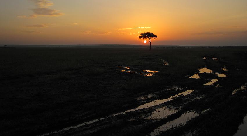 Regenzeit in der Masai Mara