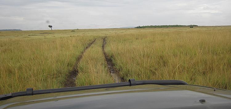 Masai Mara