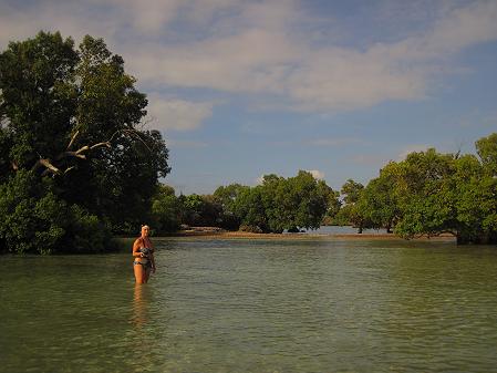 Mbuyu Bungalows - Msambweni Beach