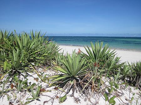 Nyali Beach