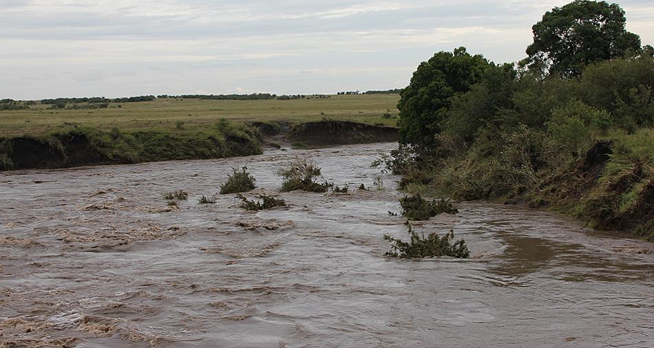 Olare Orok, Masai Mara