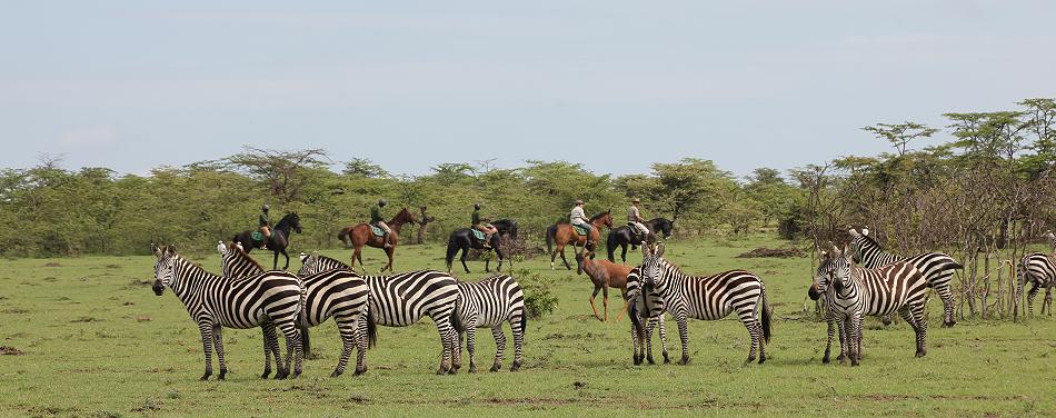 Reiten in der Masai Mara